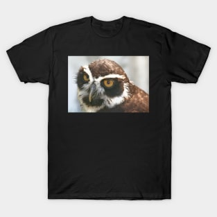 Spectacled Owl T-Shirt